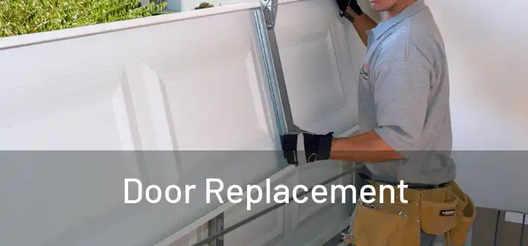  Door Replacement 